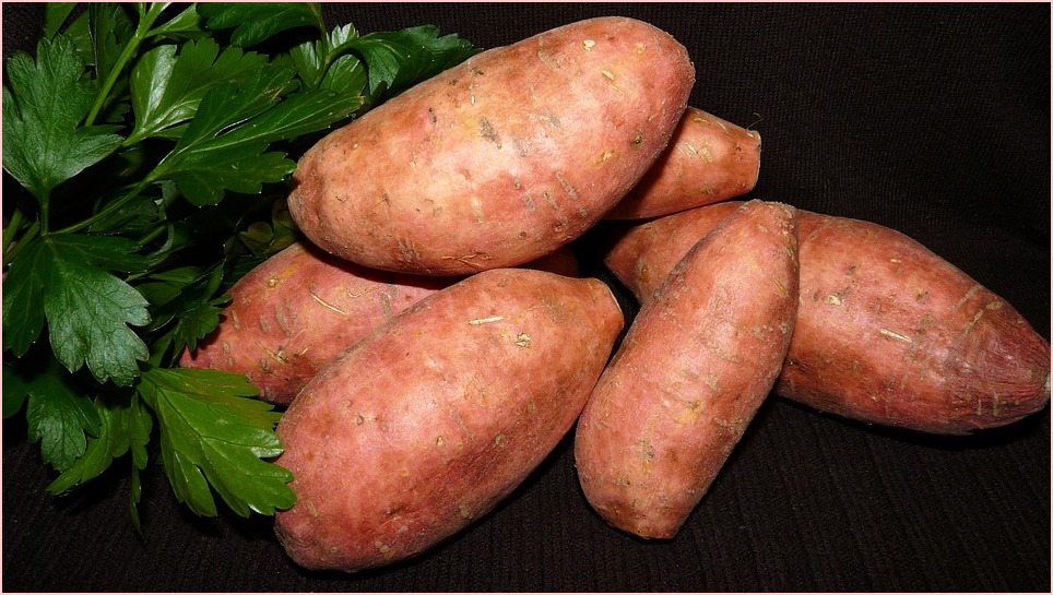 Sweet Potato Can Make Your Butt Bigger